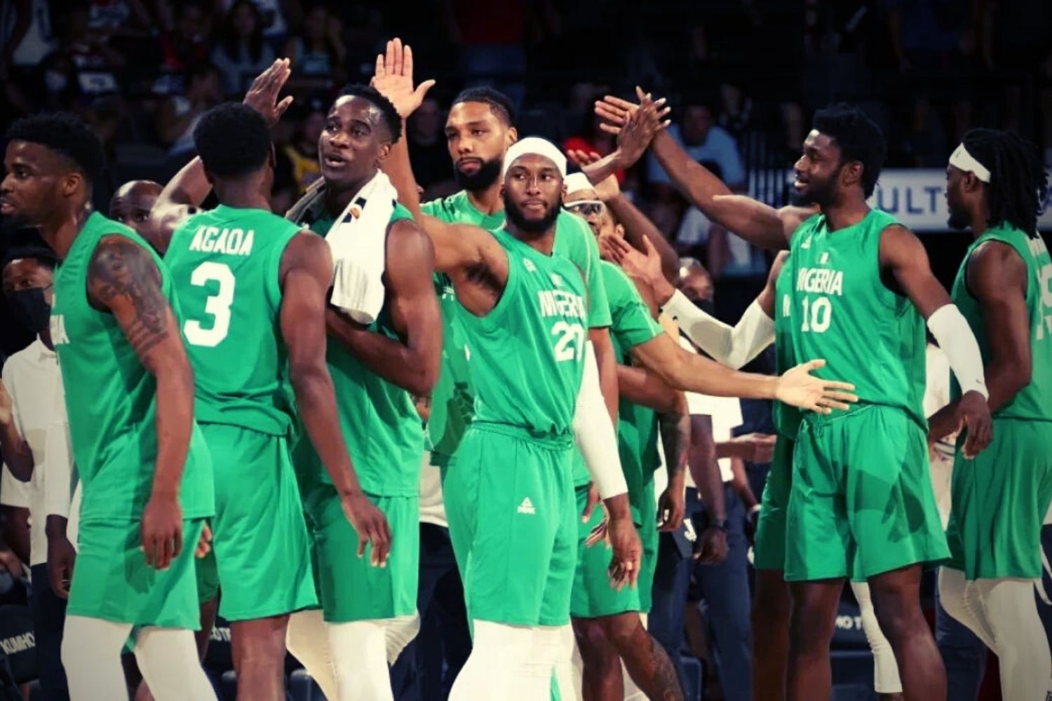 Nigeria withdraws from international basketball competitions